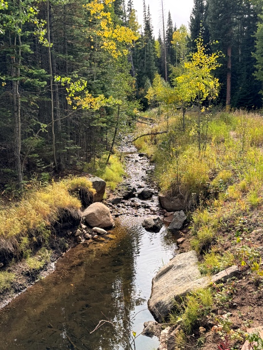 fall stream flow